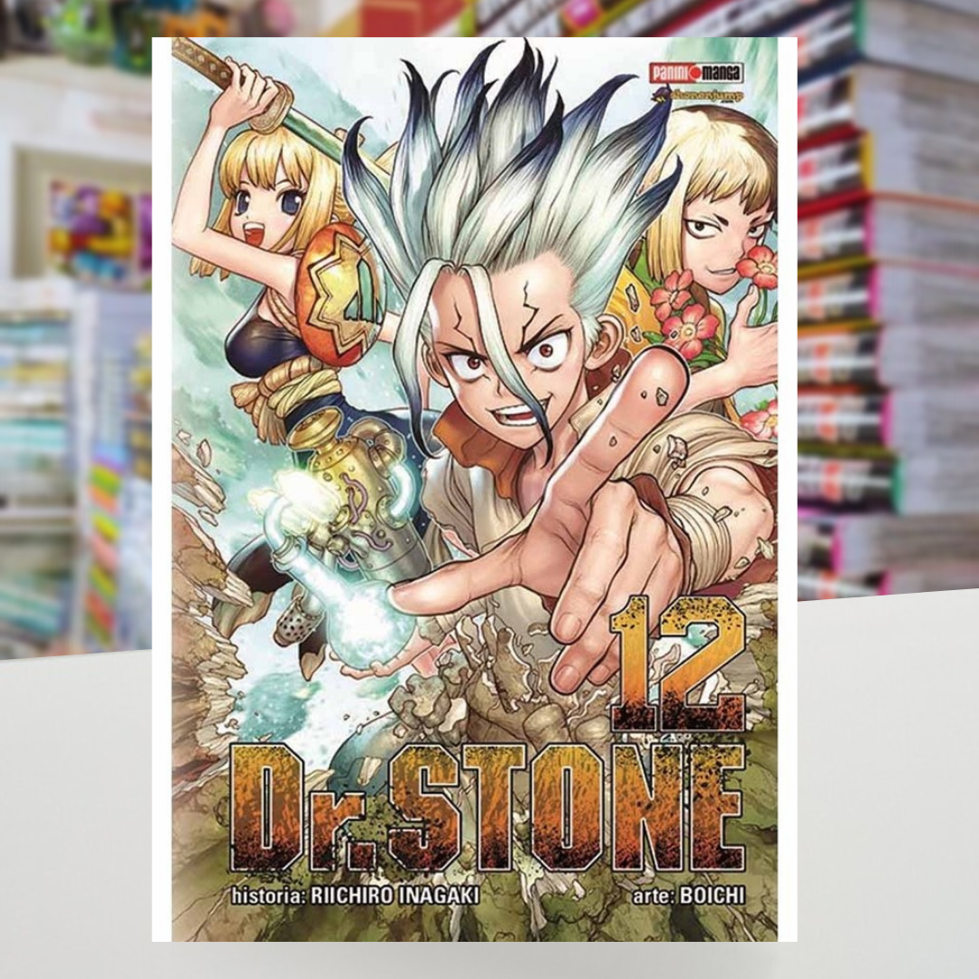 DR STONE 12