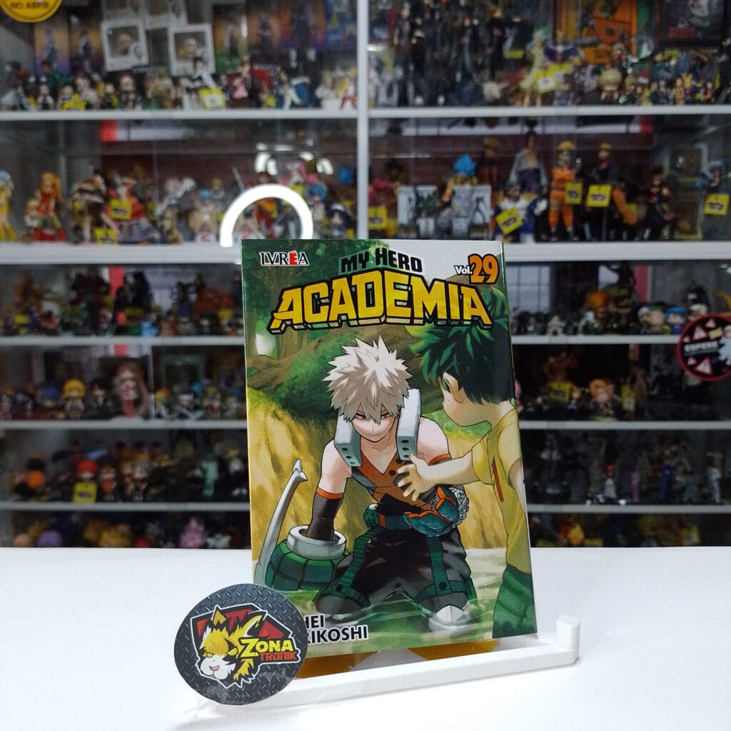 MY HERO ACADEMIA 29
