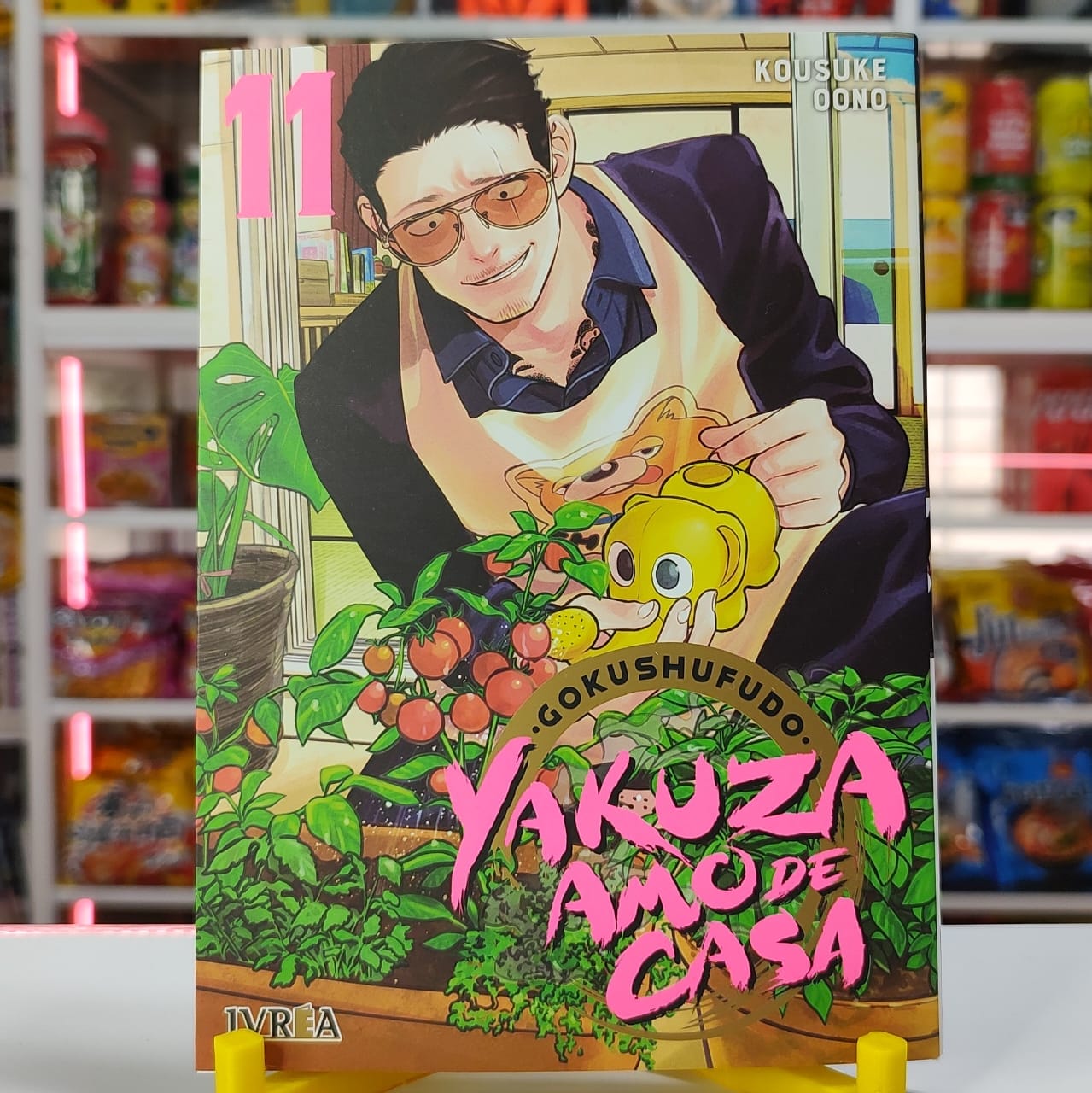 GOKUSHUFUDO - YAKUZA AMO DE CASA 11