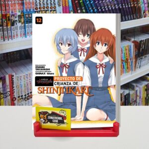 EVANGELION: PROYECTO DE CRIANZA DE SHINJI IKARI 12