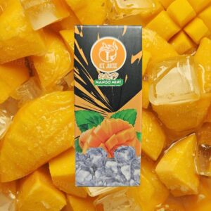 ICE JUICE SALTY MANGO MINT 30ML/35MG