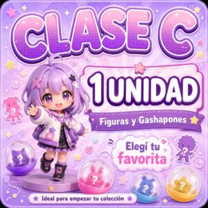 PROMO CLASE C - 1 UNIDAD