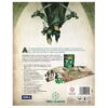 Dragonbane: Caja de iniciación, imagen 3